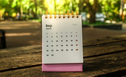 Embracing the Shift: Navigating the Emotional and Physical Transition from Summer to Fall