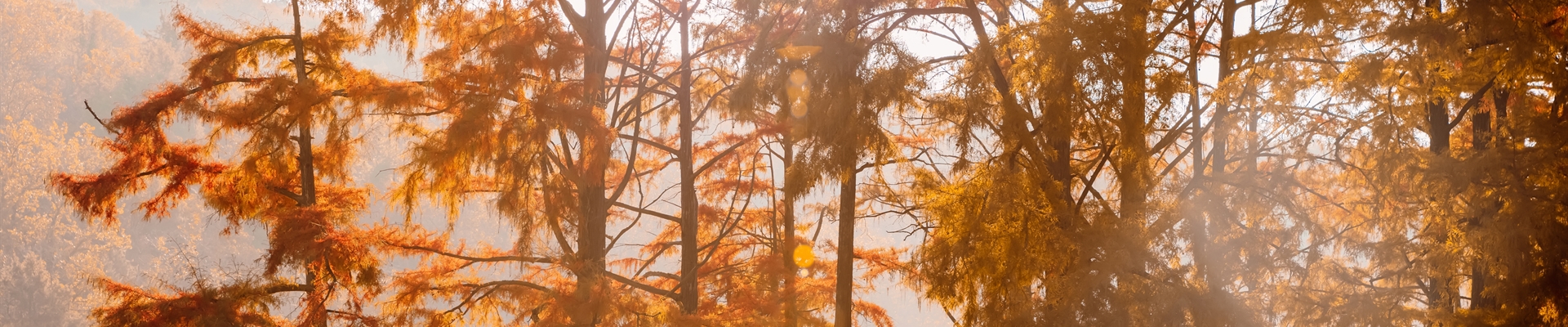 Our Moods, Our Seasons