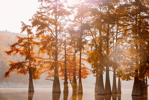 Our Moods, Our Seasons