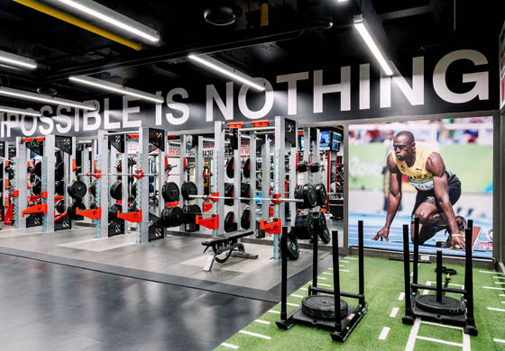 Strength gym at the Adelaide Club