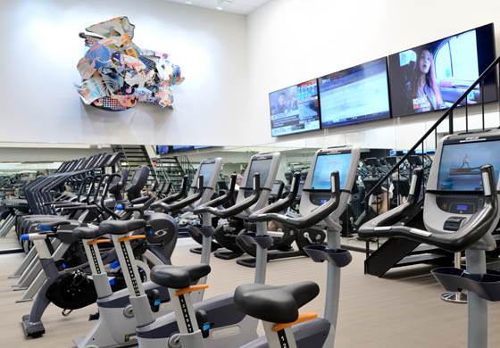 Cardio Gym at the Adelaide Club, featuring stationary bikes, treadmills, large tvs up on the wall, and an interesting piece of art